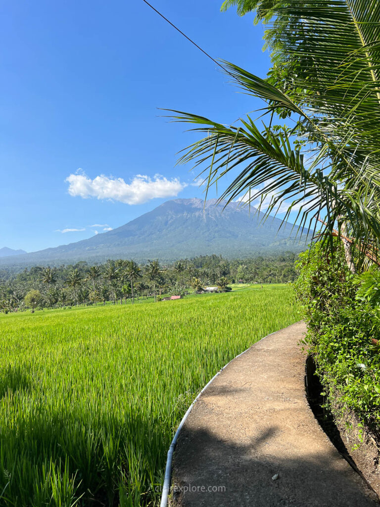 Sidemen clairexplore bali