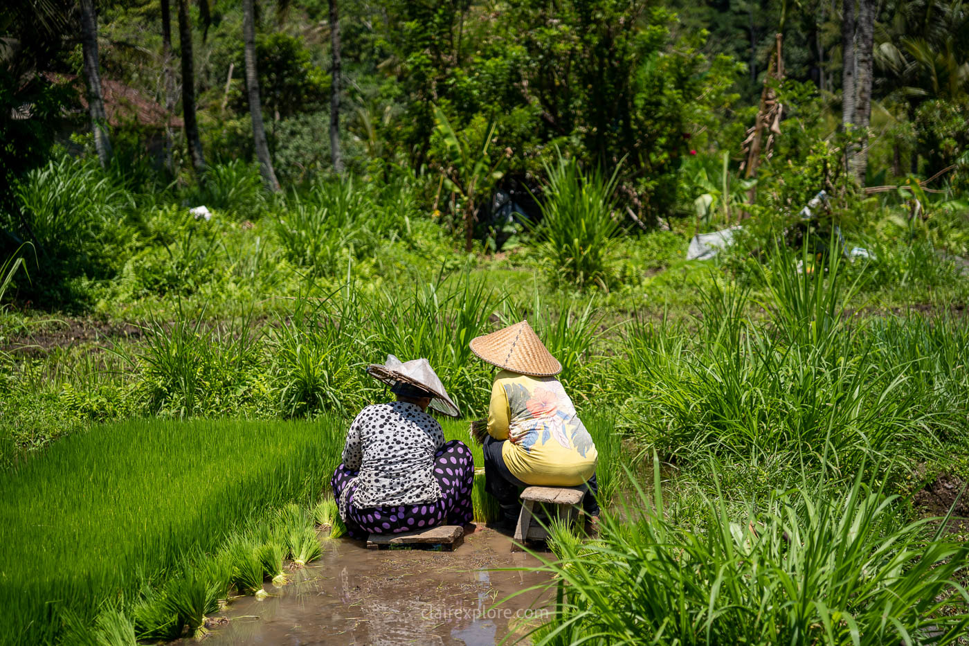 Que faire à Sidemen, Bali ? Guide complet 2026