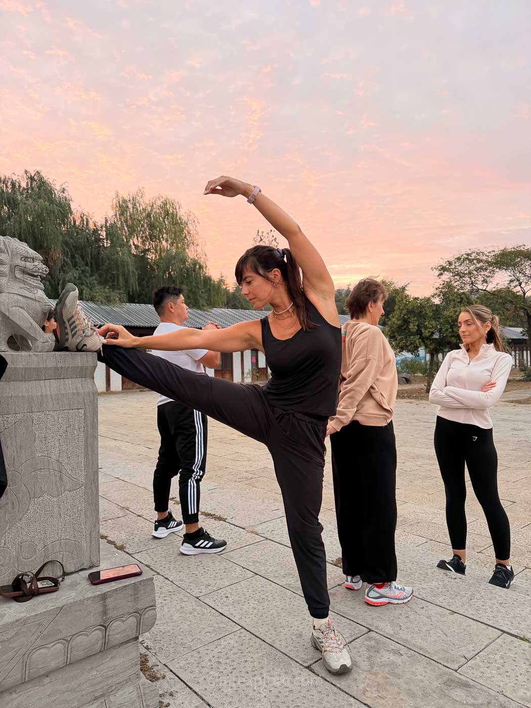 Stage de Kung Fu Ecole de Kung Fu en Chine Shaolin Yu